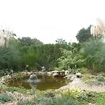 Joya Park * Zlate písky
