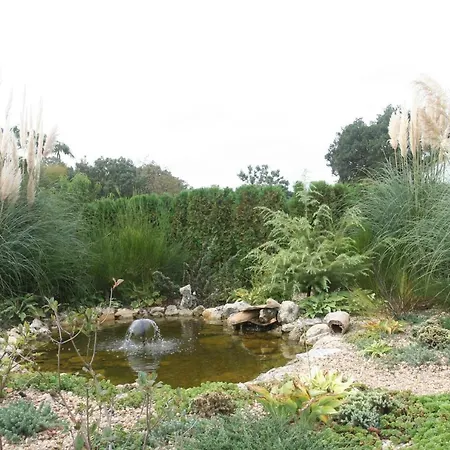 Joya Park * Aranyhomok